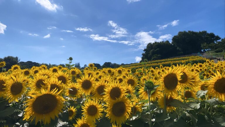 Read more about the article 初めまして♪